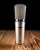 warm-audio-wa-67-tube-microphone - ảnh nhỏ 2