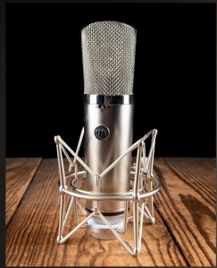 WARM AUDIO WA-67 TUBE MICROPHONE