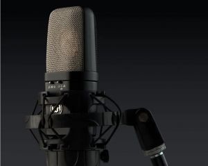 WARM WA-14 MICROPHONE