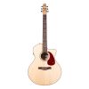 guitar-seagull-performer-cw-mini-jumbo-hg-presys-ii - ảnh nhỏ  1