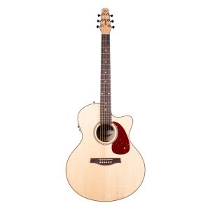 Guitar Seagull Performer CW Mini Jumbo HG Presys II