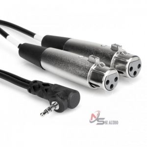 HOSA MIC CABLE DUAL XLR3F TO RIGHT-ANGLE 3.5MM TRS