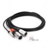 hosa-pro-stereo-breakout-rean-3-5mm-trs-to-dual-xlr3m - ảnh nhỏ  1