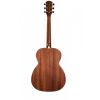 prodipe-acoustic-guitar-sa25-auditorium - ảnh nhỏ 3