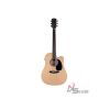 prodipe-electro-acoustic-guitar-sd25-ceq-dreadnought - ảnh nhỏ  1