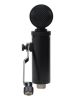 lauten-audio-ls-308-noise-rejecting-high-dynamic-range-large-diaphragm-condenser-microphone - ảnh nhỏ 2