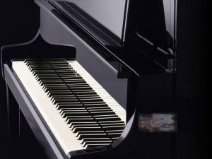 Kawai K-800