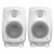 Genelec 8010 AW