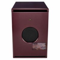 PSI AUDIO SUB A125-M COMPACT SUBWOOFER